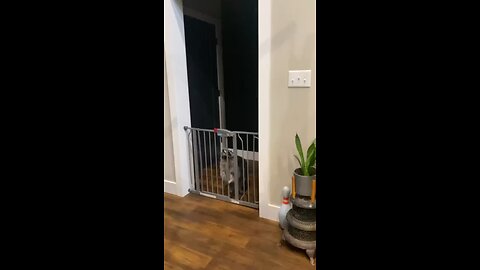 Sneaking in