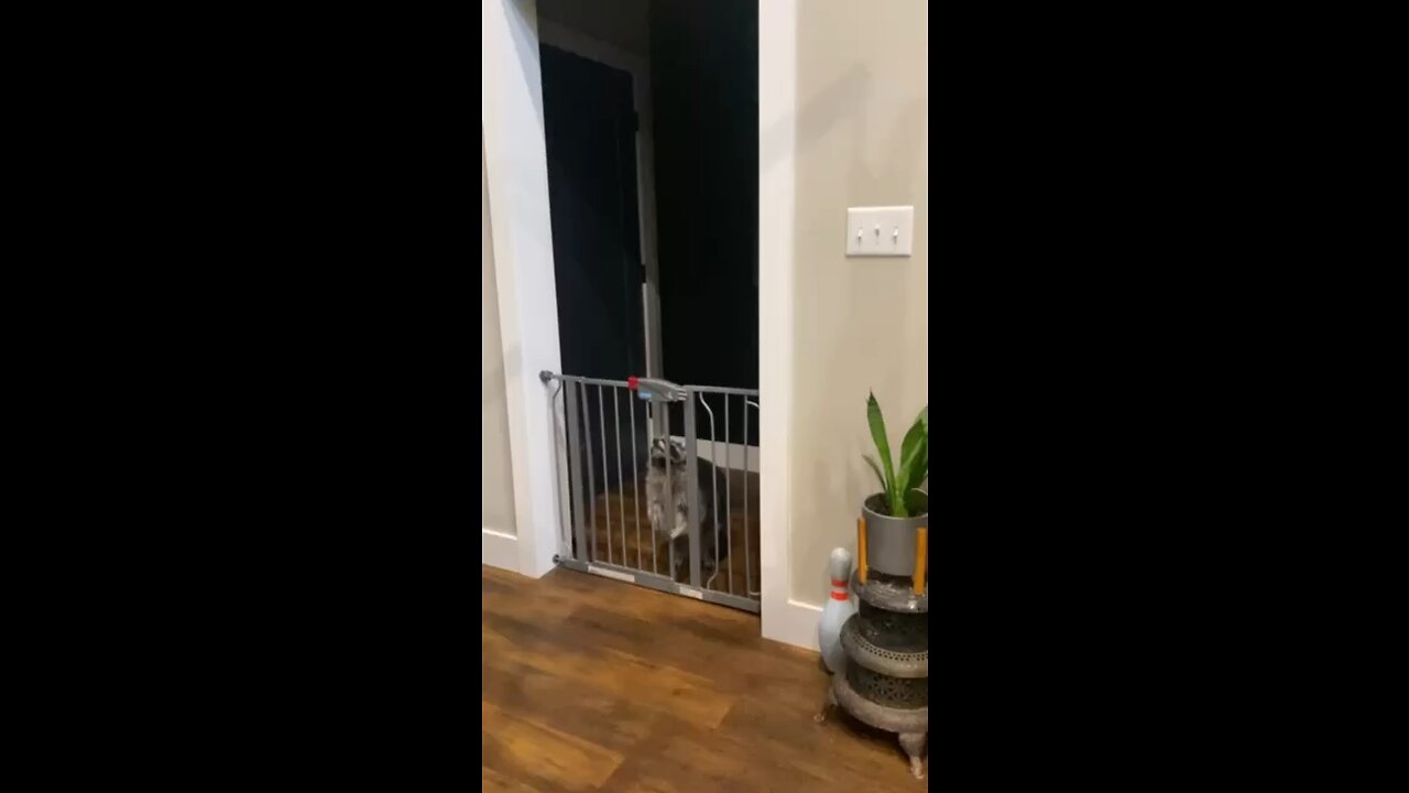 Sneaking in