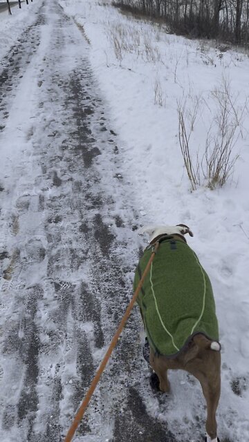 We are off to find some color inspiration on this beautiful winter day! #fluidart #abstractart #yyc