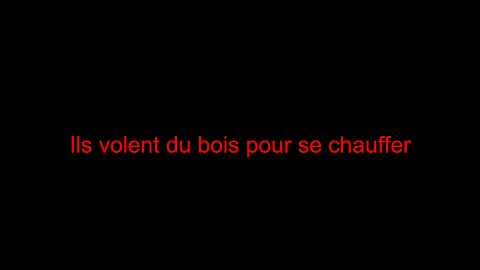 Ils volent du bois pour se chauffer