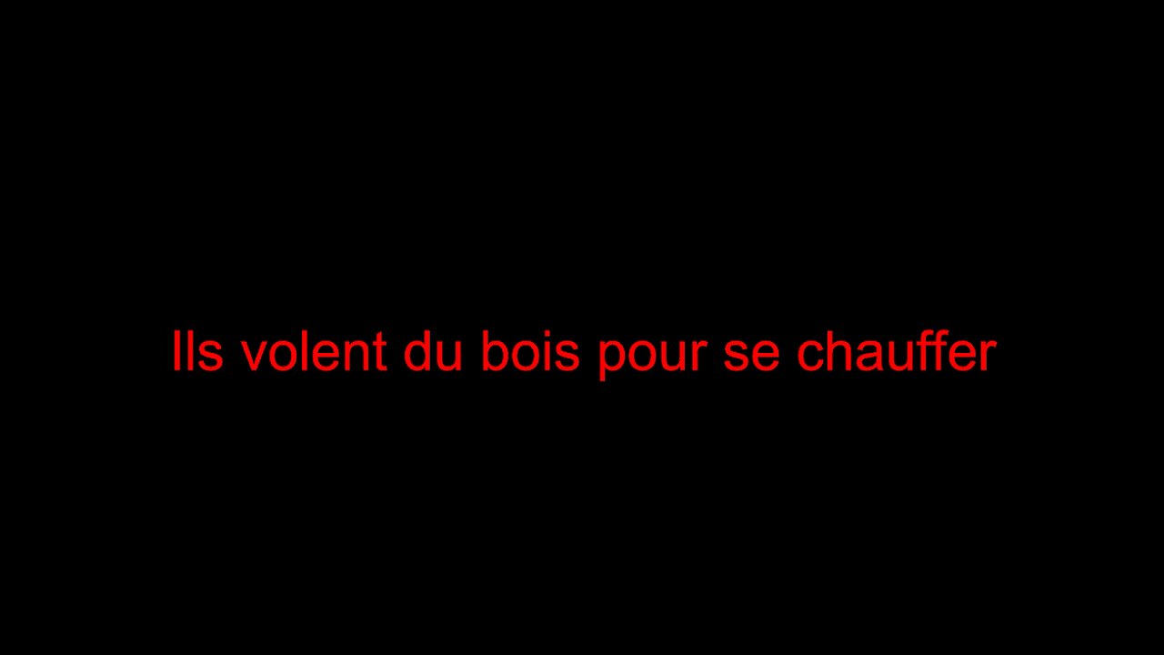Ils volent du bois pour se chauffer