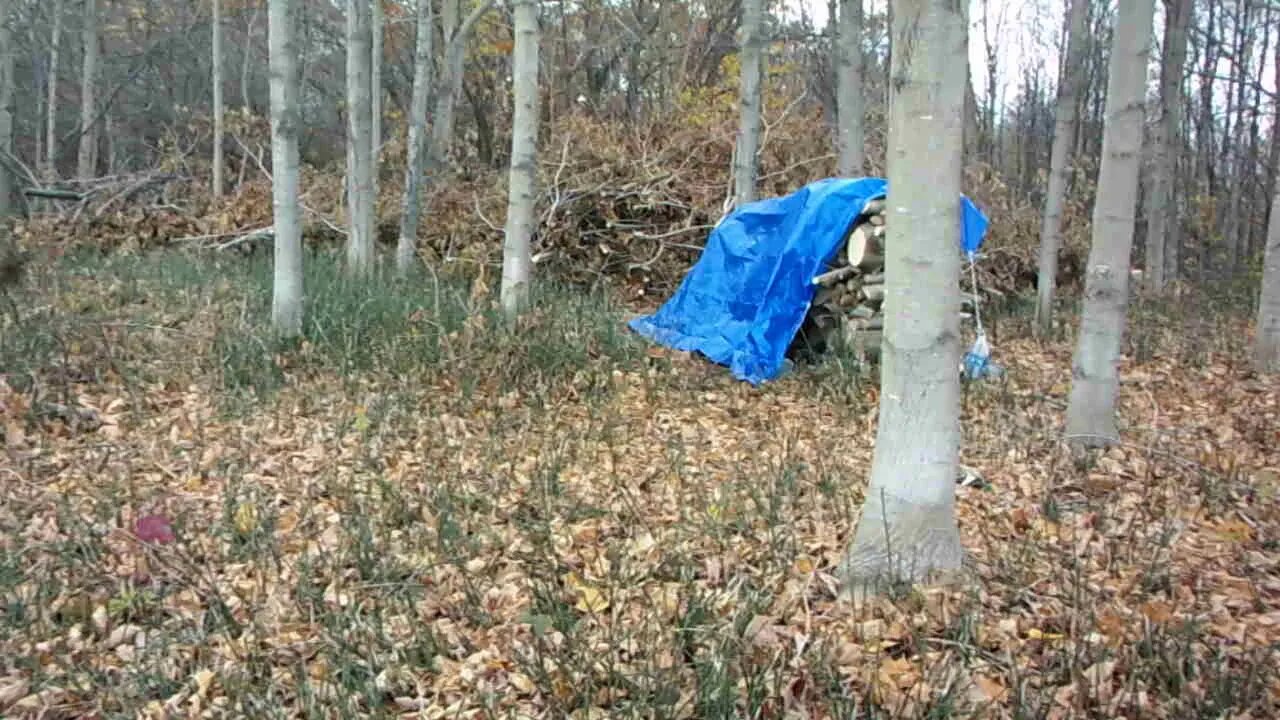 U.P. Snow Prediction Results