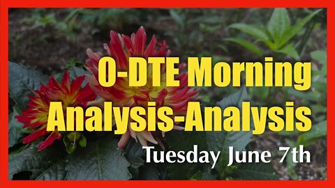 0-DTE Morning Analysis - June 7th