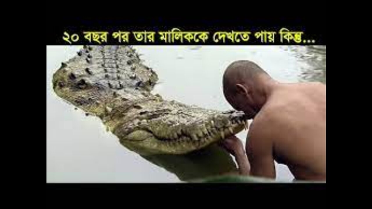 প্রানীটি ২০ বছর পর মালিককে হঠাৎ দেখতে পায় কিন্তু তার মালিক ততক্ষণে...