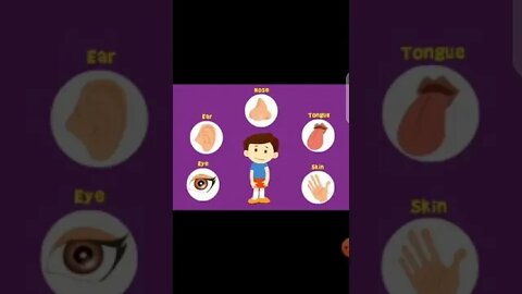 Class I Science Unit 2 The Senses 1st Lec