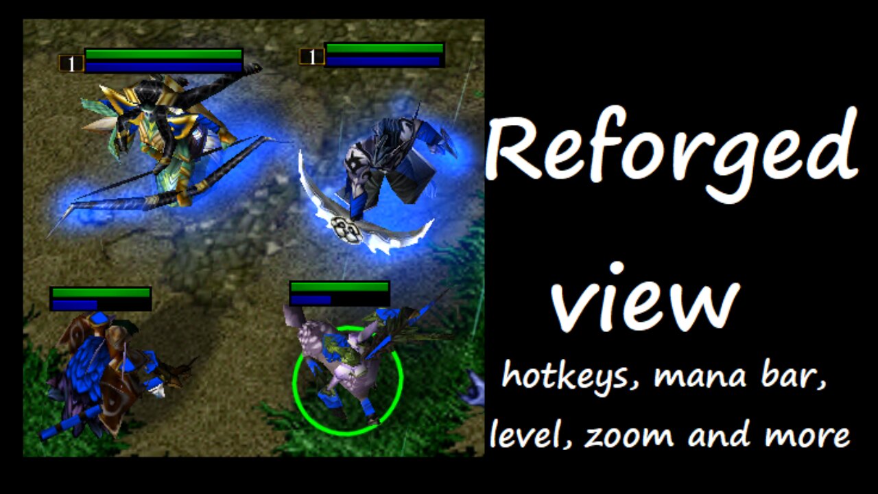 Download Warcraft 3 tool WFE to make your old version have the same options view that Reforged has