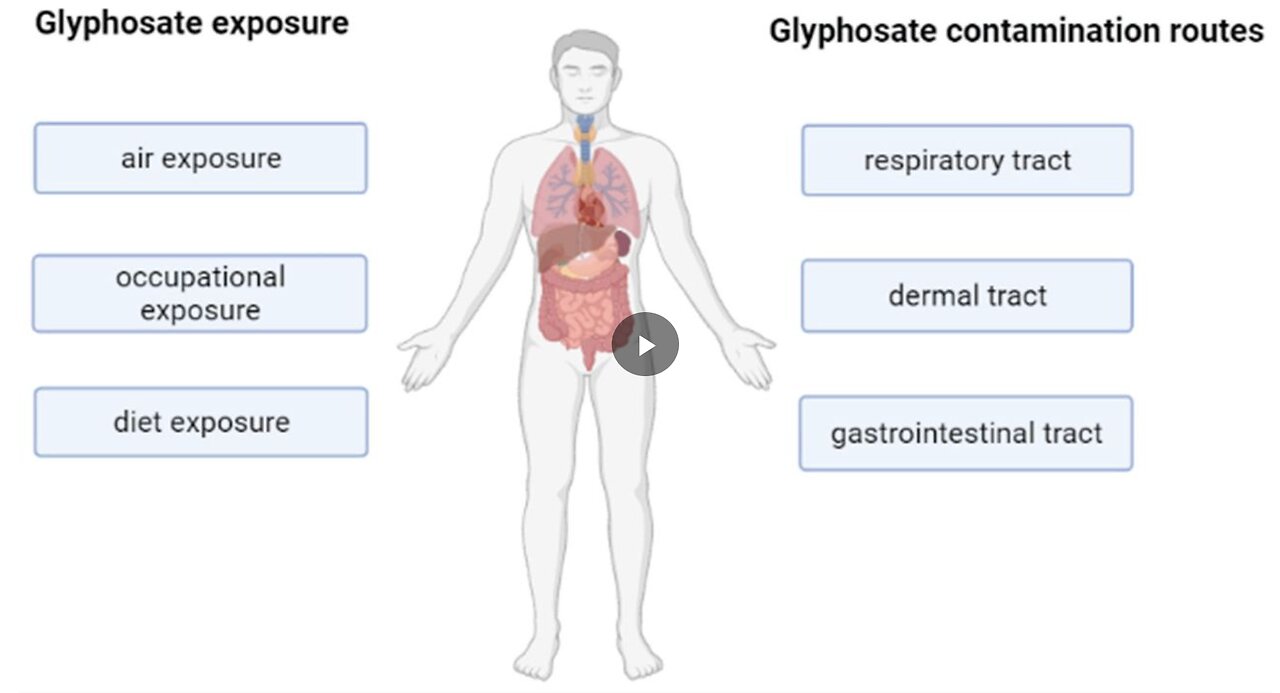 Top Tips 4 Detoxification - Interview with Dr. Dietrich Klinghardt (detox Glyphosate from your body)