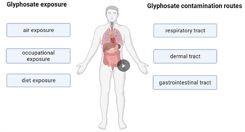 Top Tips 4 Detoxification - Interview with Dr. Dietrich Klinghardt (detox Glyphosate from your body)