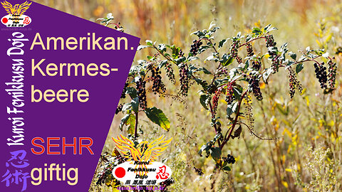 023 - Amerikanische Kermesbeere