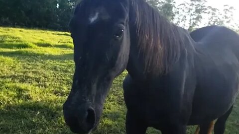A little video of Penny