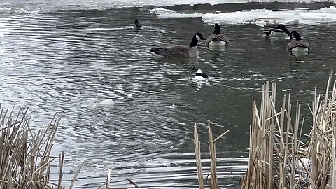 Rouge National Urban park Scarborough Ontario residents