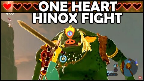 ONE HEART HINOX CHALLENGE | Breath of the Wild | Zelda BotW | Basement | S3E82