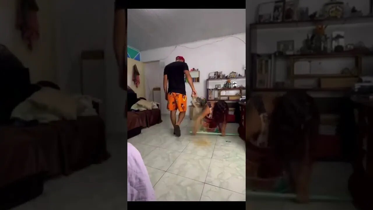 Funny videos
