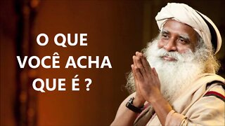 UMA MANIFESTAÇÃO SUTÍL DO QUE VOCÊ É, SADHGURU, DUBLADO