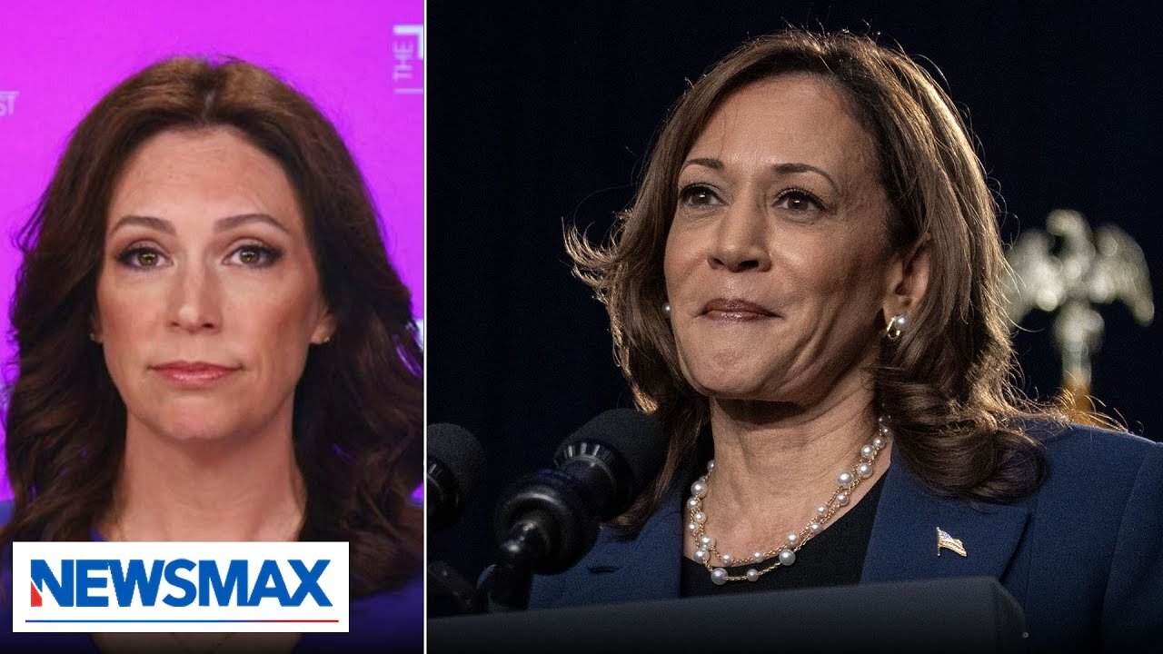 We do not want Kamala Harris running the country: Tudor Dixon | National Report