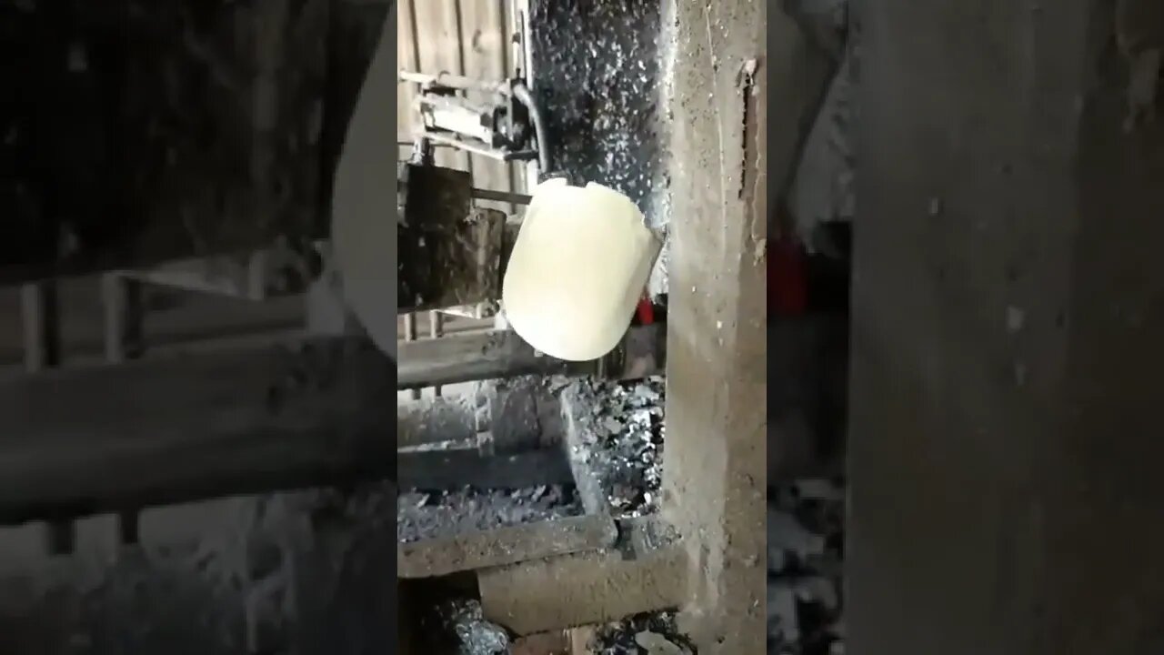 Interesting knowledge of Almost mind blowing 🌹(5)