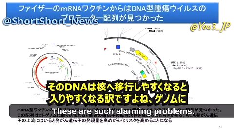 Japanese Prof. Murakami: Pfizer's jab contains the SV40 sequence which is a promoter of the cancer