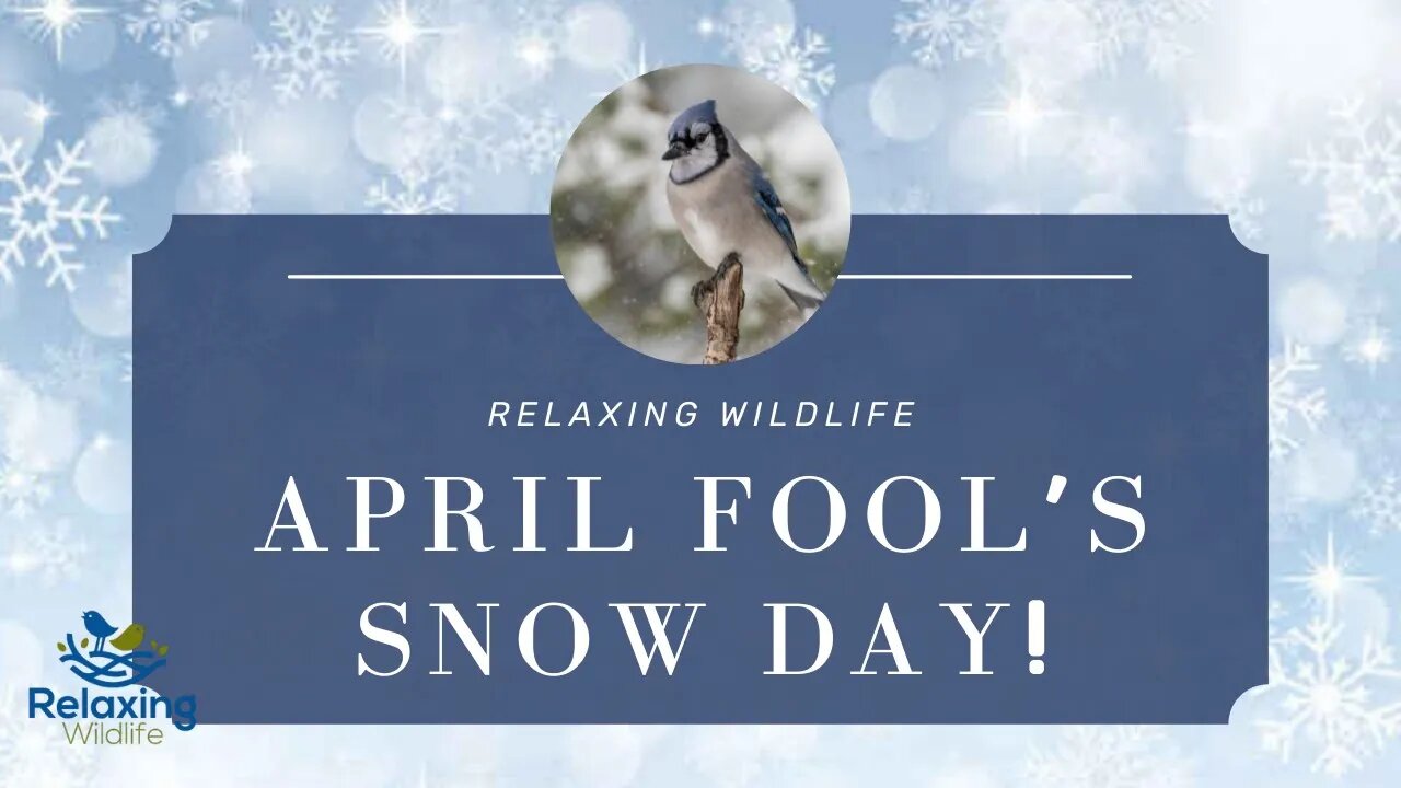 The April Fool's Snow Day!