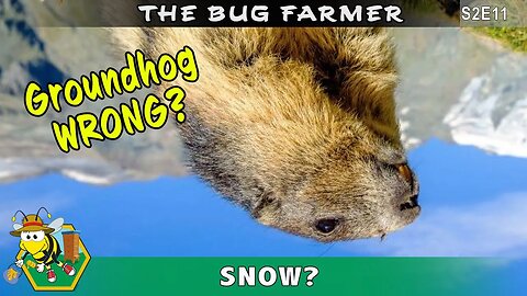 Groundhog was WRONG!