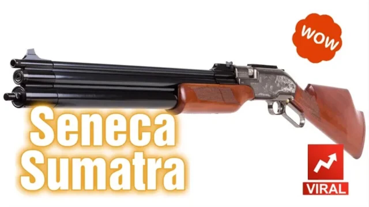 Seneca Sumatra 22 Caliber Intro