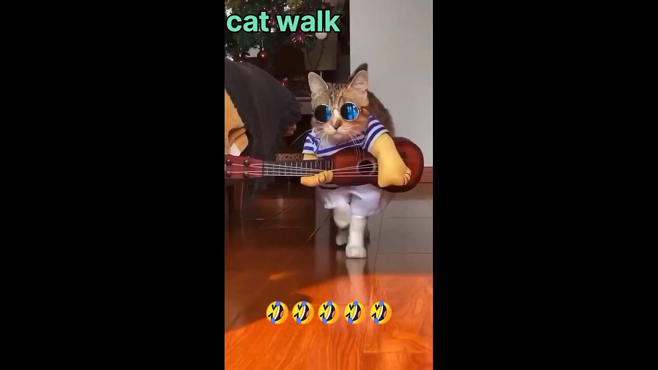 CAT WALK