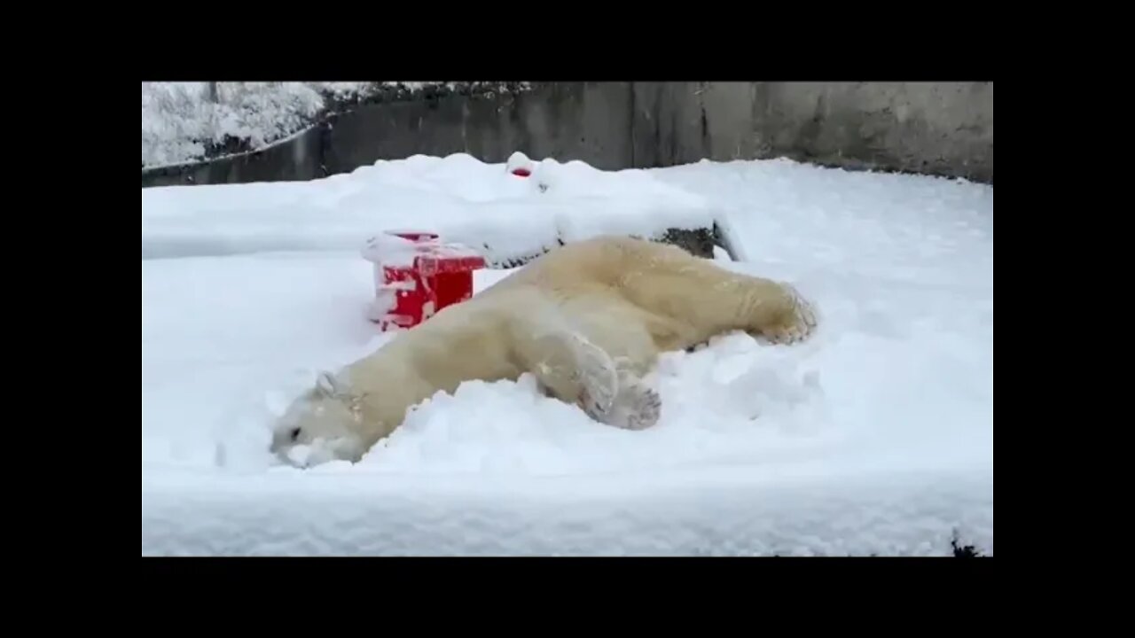 What did Santa bring you?