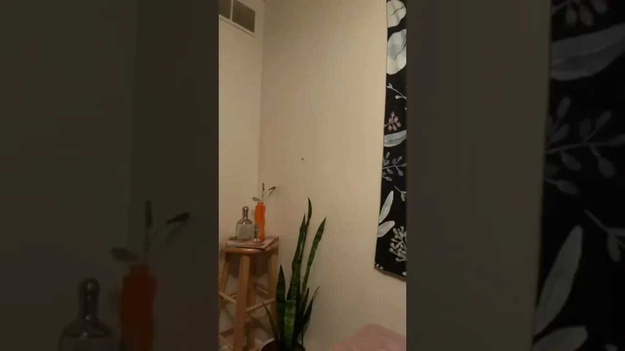 An insect that caused a disaster