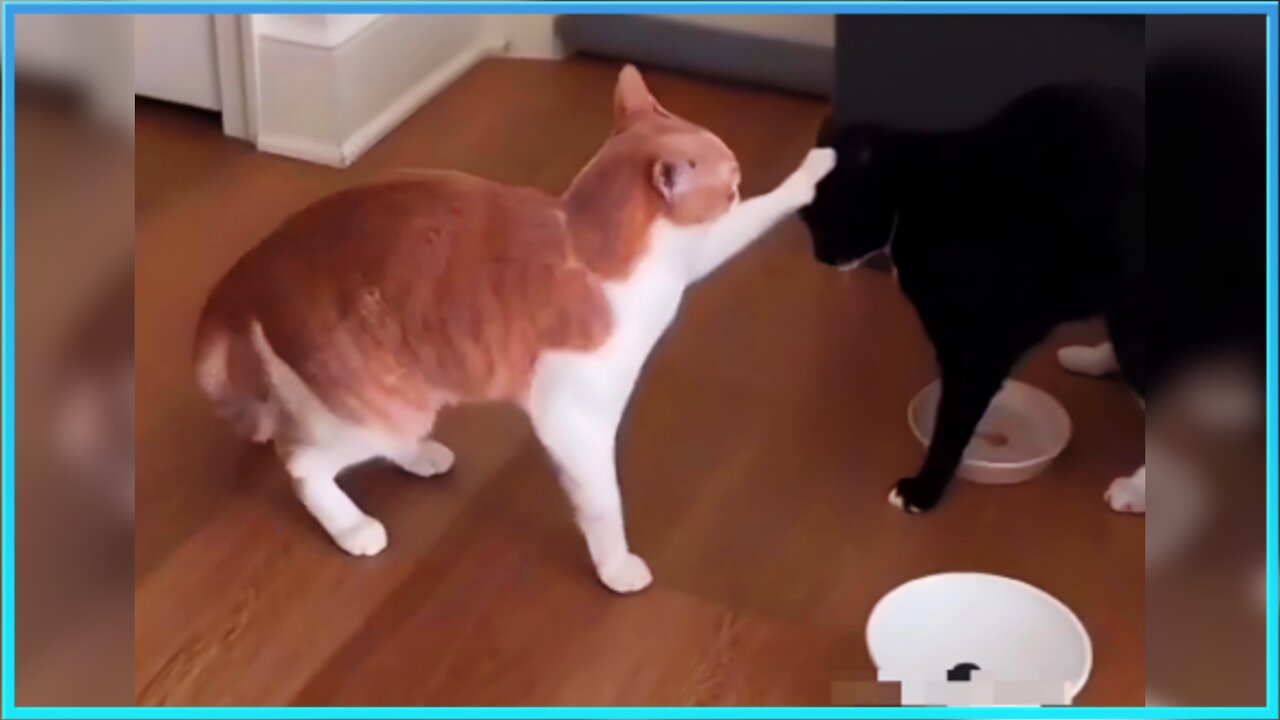 stop ✋️ I am not a player…I’m the game