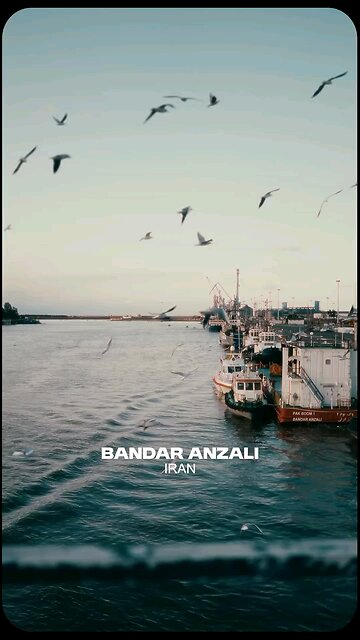 Good morning, Bandar Anzali, Gilan Province, Iran!