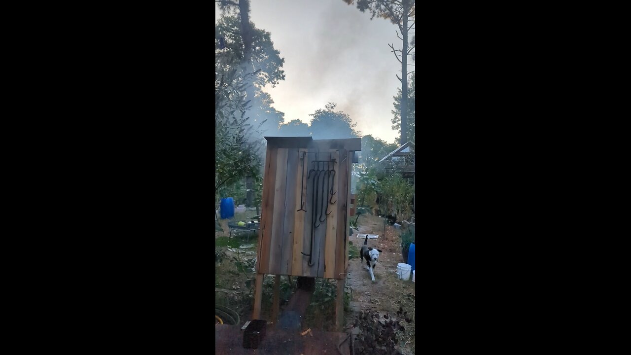 wood burning stove smoker