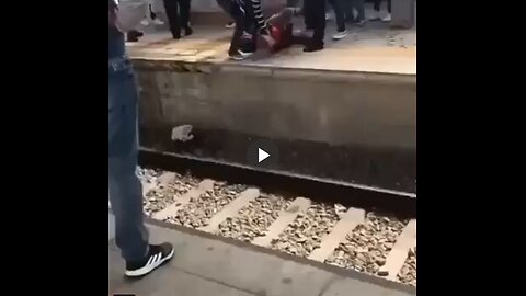 White women are no longer safe in Lisbon, Portugal. The city is completely overrun by invaders...