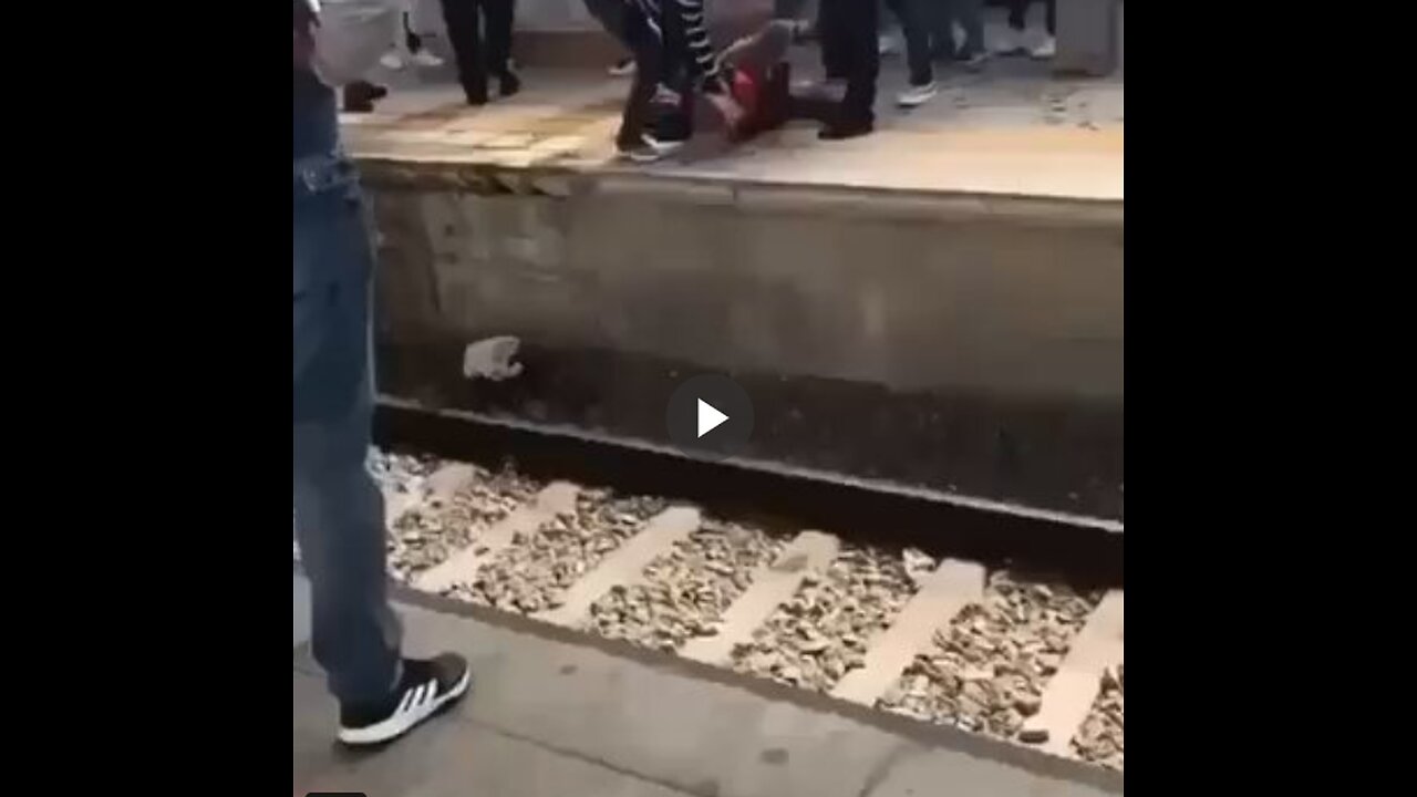 White women are no longer safe in Lisbon, Portugal. The city is completely overrun by invaders...