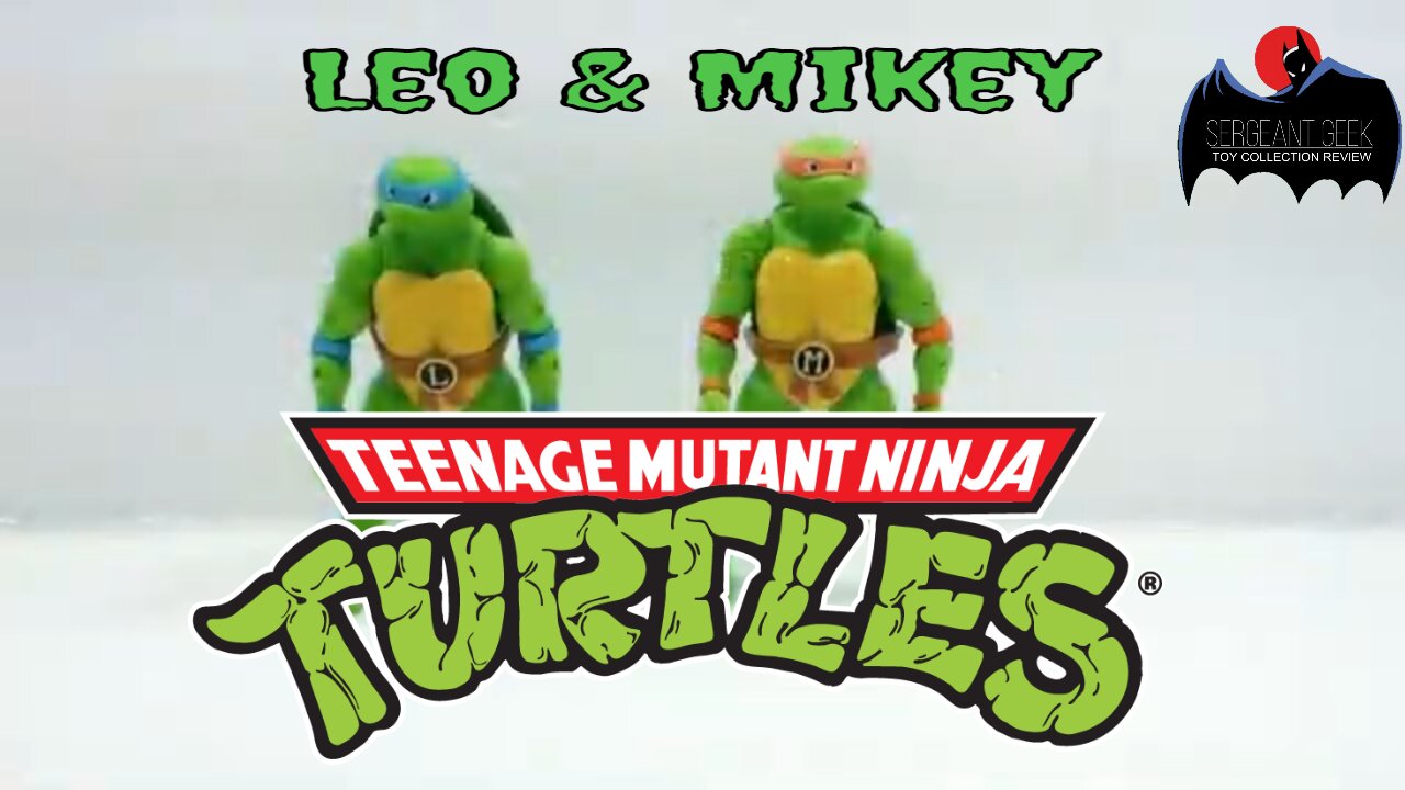 Toy Review Teenage Mutant Ninja Turtles BST AXN Leo and Mikey