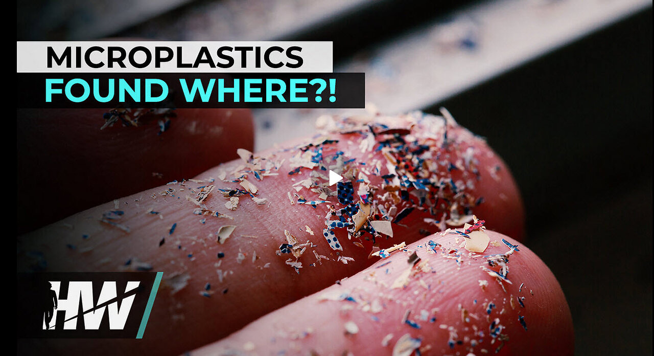 MICROPLASTICS FOUND WHERE?!