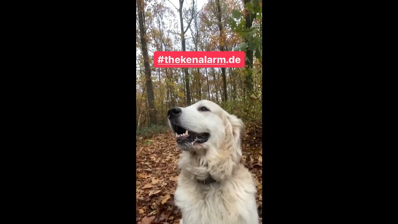 JUGENDSÜNDEN