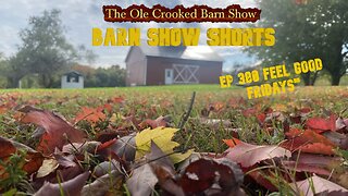 "Barn Show Shorts" Ep. #380 “Feel Good Fridays”