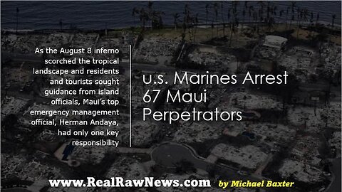 U.S. MARINES ARREST 67 MAUI PERPETRATORS