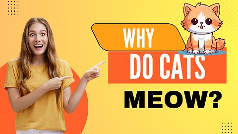 Why Do Cats Meow?