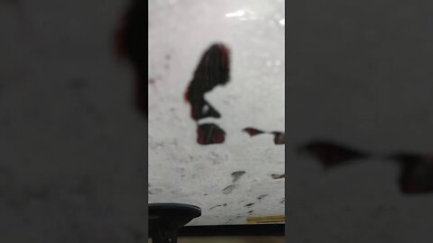 Car wash Vienna Virginia and Alex Music