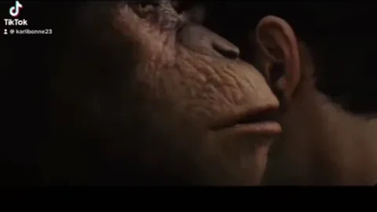 ۲۸ ژوئیهٔ ۲۰۲۲