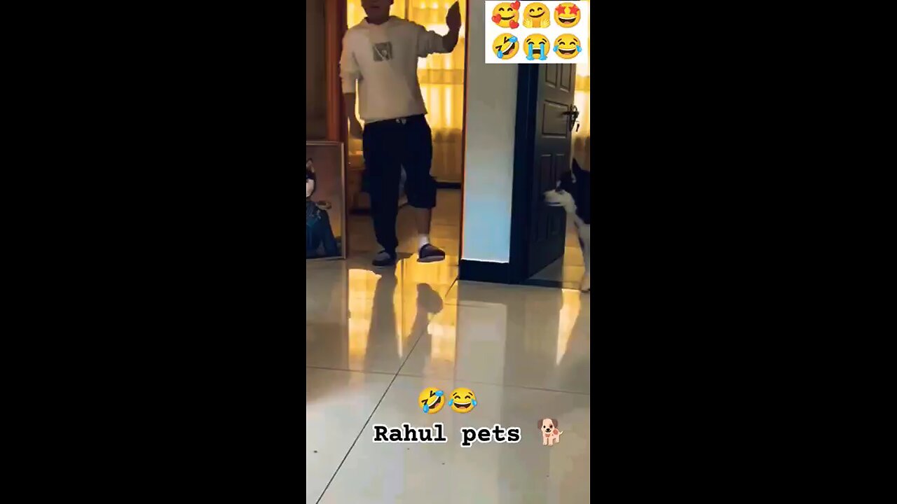 🤣🤣🤣😂😂😂😂🤓🤓🤡