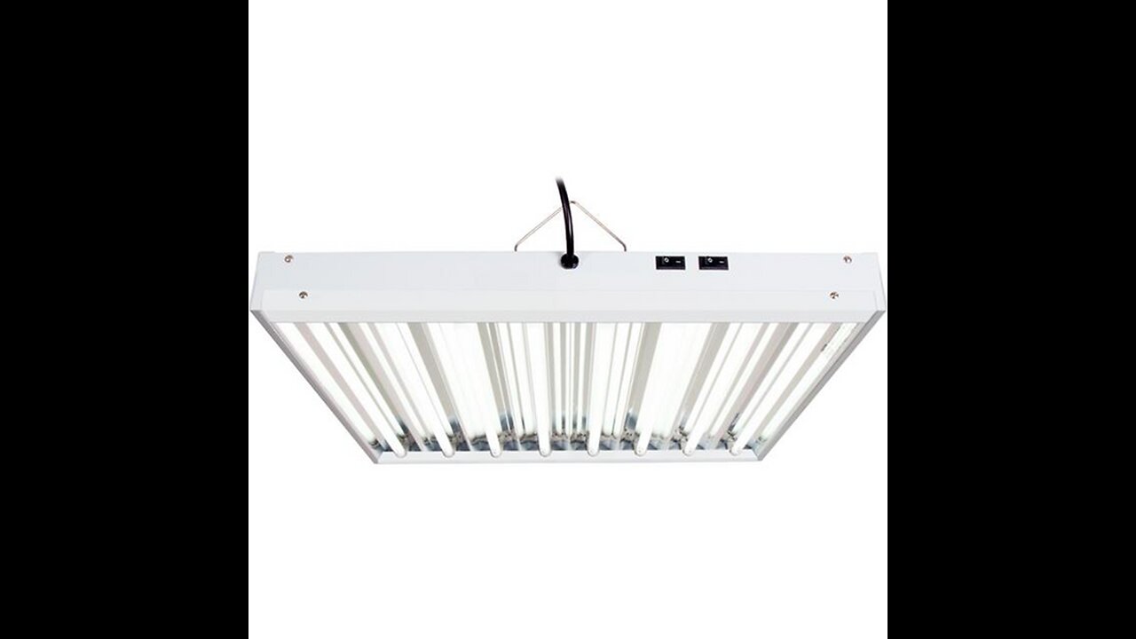 Lightingwise 2 FT 6500K T5 HO Fluorescent Grow Light Bulbs - Pack of 1,4,8,20,40 (8, 6500k - Bl...