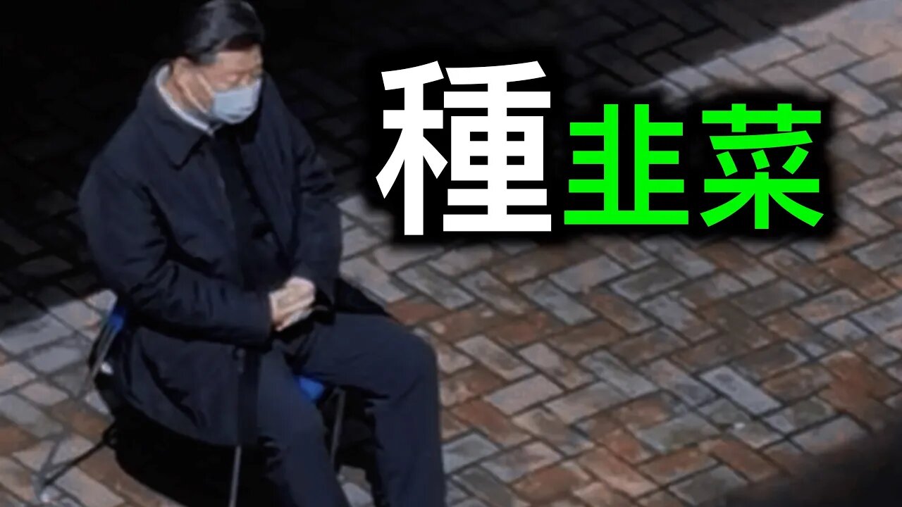 育兒金能解決中國人生孩子的問題嗎？中國男人結婚有多難？中國人口問題的根源在哪裡？