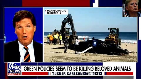 Tucker Carlson Tonight New: Whales and Dolphins Why they dying? 2/23/23