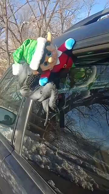 Frankie trying to steal Christmas