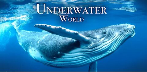 suspicious activity in water 🤯😱🌎