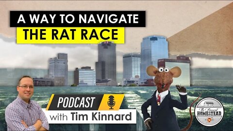 A Way to Navigate the Rat Race [3 Practical Tips]