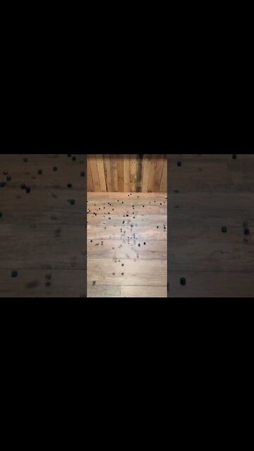 #shorts by TinyandJuniorTV