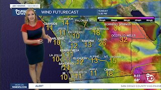 ABC 10News Pinpoint Weather with Meteorologist Leah Pezzetti