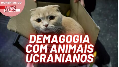 Globo apela a animais de estimação para mostrar o cenário de guerra na Ucrânia | Momentos